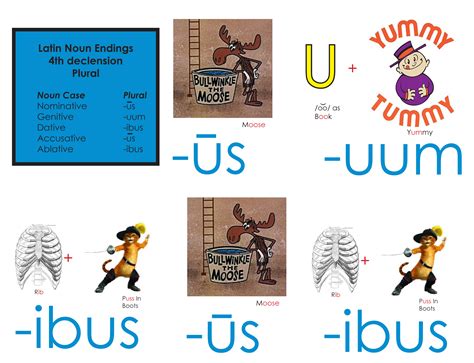 Latin 4th Declension Chart Noun Declension Practice Sheet | Latin And