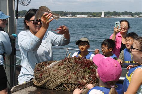 Long Island Sound Partnership Marks 40th Anniversary with Celebrations ...