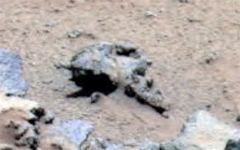 Image result for Alien Skull On Mars