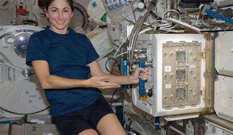 Mice studies in space flight may help understand ageing: NASA- The Week