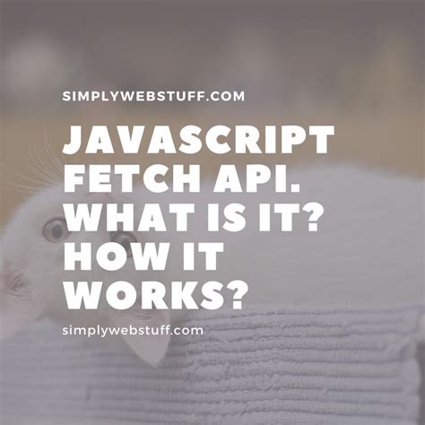 Image result for How to Fetch Random Objects From API in JavaScript