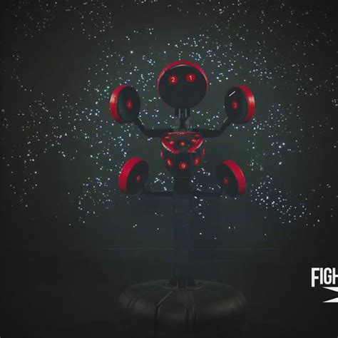 Image result for Fightmaster Machine