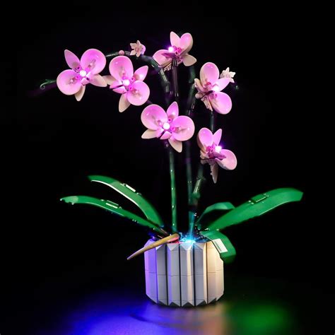 Amazon.com: LED Lights Kit for Lego Orchid 10311 Plant Decor Building ...
