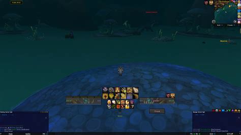Image result for ElvUI with HealBot