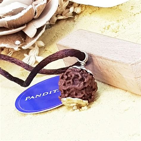 Nirakar Premium Rare Rudraksha