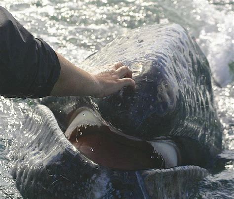 BAJA ECOTOURS - All You Need to Know BEFORE You Go 2026 (with Photos ...