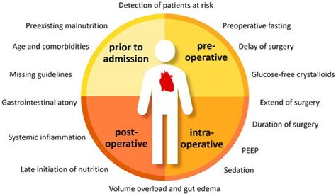 Current Evidence about Nutrition Support in Cardiac Surgery Patients ...