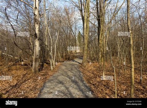 Nature Trail 的图像结果
