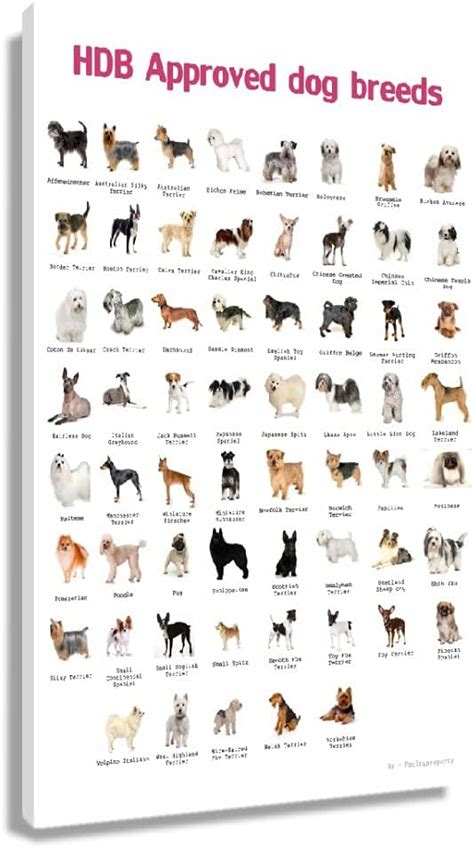 XBQQL Dog Breeds Chart Poster Pictures for Bedroom India | Ubuy
