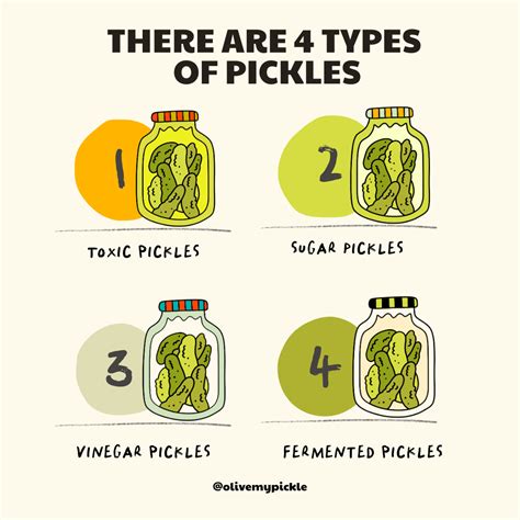 Pickled vs Fermented: What Are the Best Pickles for Gut Health?