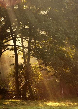 THE BEST Places to Visit in Scorton (UPDATED 2024) - Tripadvisor