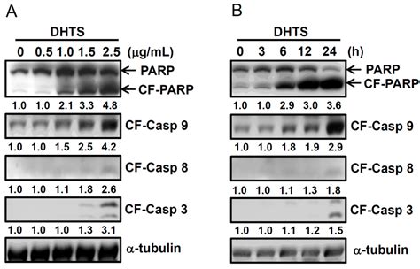 15,16-Dihydrotanshinone I from the Functional Food Salvia miltiorrhiza ...