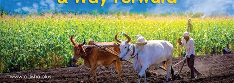 Economic Development and Urbanisation Strategies Amidst Robust Economic ...