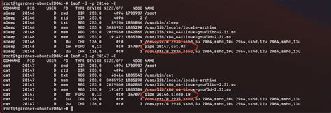 Image result for Python Linux Streams