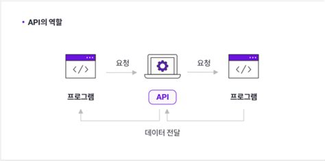 API Application Programming Interface 的图像结果