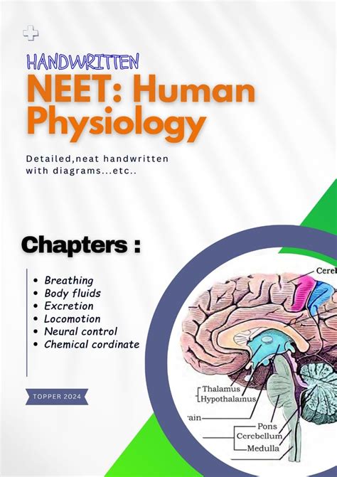 NEET : HUMAN PHYSIOLOGY: HANDWRITTEN TOPPER NOTES 2024 (NEET ...