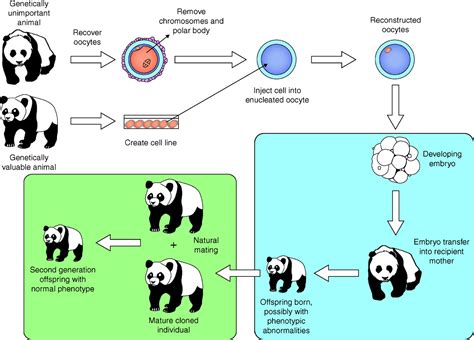 Genetically Modified 的图像结果