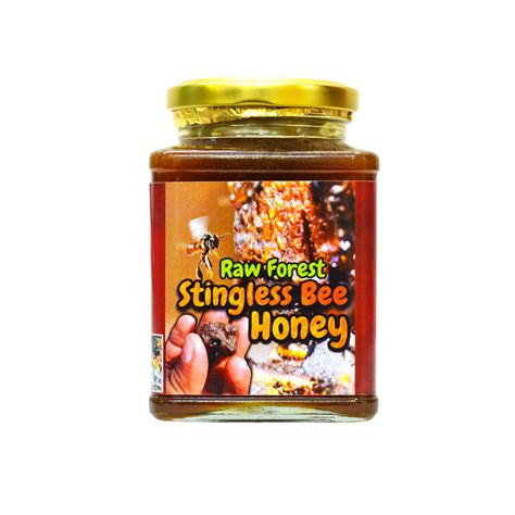 Raw Stingless Bee Forest Honey – Nature's Shadow