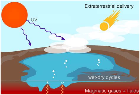 A Physicochemical Consideration of Prebiotic Microenvironments for Self ...