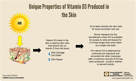 How to Make Vitamin D from Sunshine - GrassrootsHealth