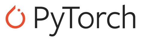Image result for Pytorch Type