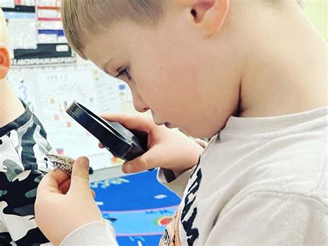 Interactive Learning Environments 的图像结果