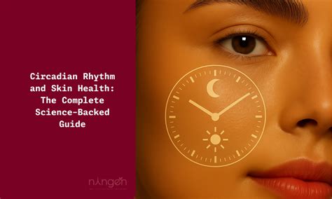 Circadian Rhythm and Skin Health: The Complete Science-Backed Guide ...