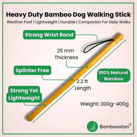 Shop Now – Bamboostan