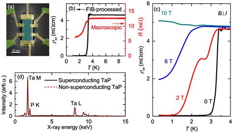 Two- and Three-Dimensional Superconducting Phases in the Weyl Semimetal ...