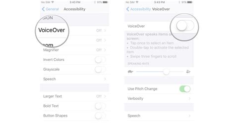 Image result for Control Voice Over On iPhone