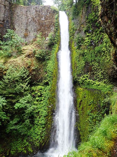 Tunnel Falls on the Eagle Creek Trail in Oregon | Oregon waterfalls ...
