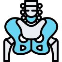 29th Annual Conference of the Paediatric Orthopaedic Socity of India