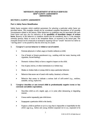 Fillable Online SDM SAFETY ASSESSMENT Fax Email Print - pdfFiller