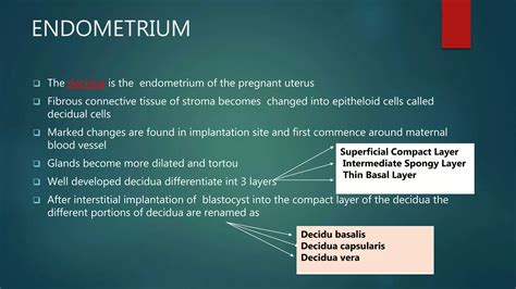Physiological changes in pregnancy | PPTX