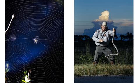 Image result for Female Python Hunters