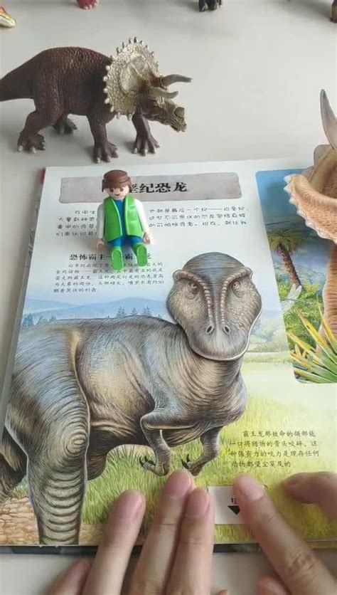 关于恐龙