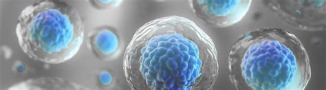 Regenerative Medicine – Skinnovation