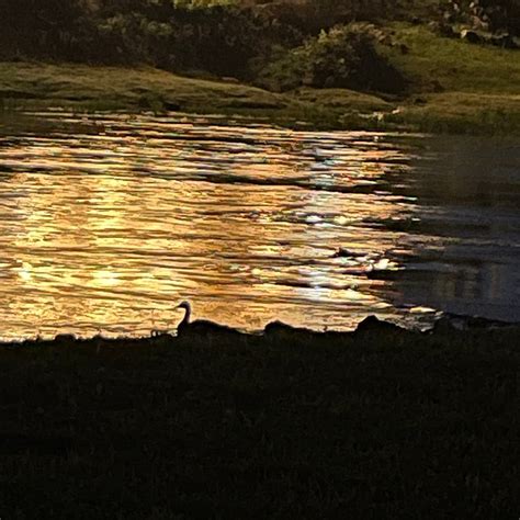 MAMMOTH SPRING RV PARK (Arkansas) - Campground Reviews & Photos ...