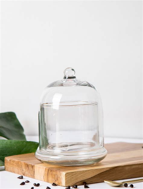Glass Bell Jar - White – The Table Fable