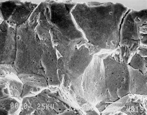 Image result for Spring Trap Failure