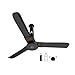 Buy atomberg Studio Smart+ 1200mm BLDC Ceiling Fan with IoT & Remote ...