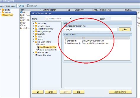 Procedure for Changing SAP Logon to enable DR Switchover