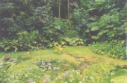 ZooLex Exhibit - BUSH