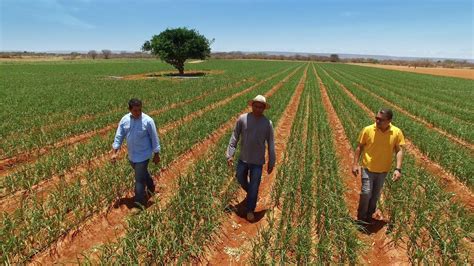 Drip Irrigation Products and Micro Drip Irrigation System Solutions ...