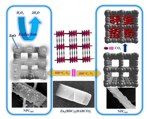 Carbonization and Preparation of Nitrogen-Doped Porous Carbon Materials ...