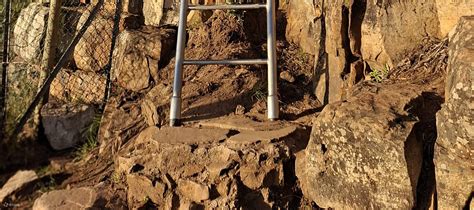 Lion's Head Sunrise Guided Hike in Cape Town - Klook India