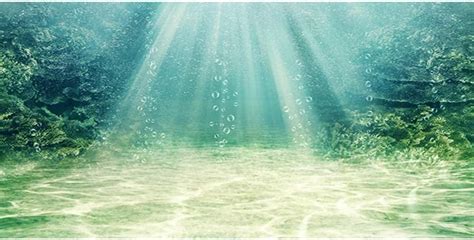 Buy AWERT Aquarium Background Aquatic Plant Bubble Underwater Ocean ...