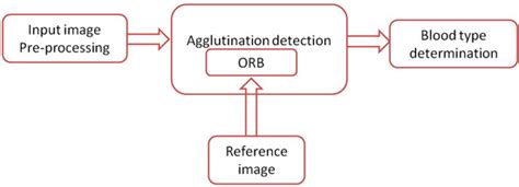 An Efficient System for Automatic Blood Type Determination Based on ...
