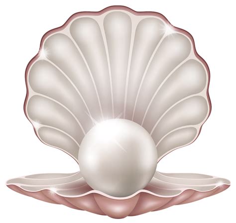 Draw Pearl Shell 的图像结果