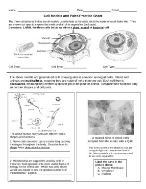 Cell Models and Parts Practice Sheet Doc Template | pdfFiller
